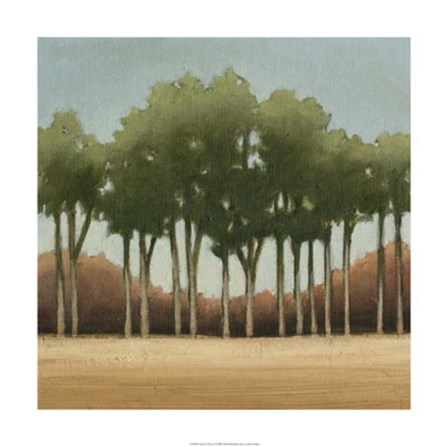 Stand of Trees II by Ethan Harper art print