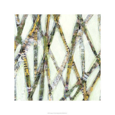 Lemongrass I by Jarman Fagalde art print