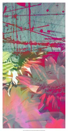 Pink Wonders II by Ricki Mountain art print