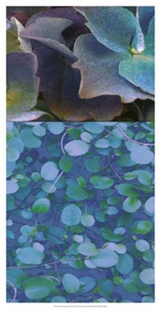 Hydrangea Mix II by Ricki Mountain art print