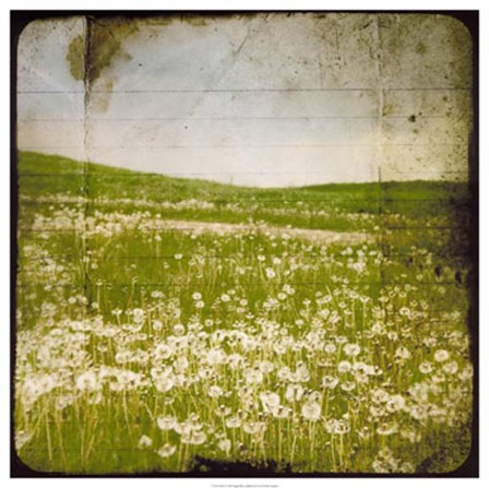 Field I by Ingrid Blixt art print