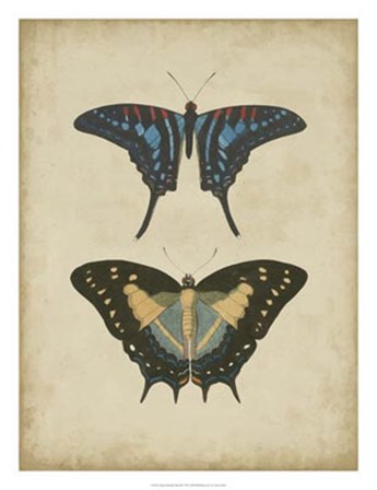 Antique Butterfly Pair III by Vision Studio art print