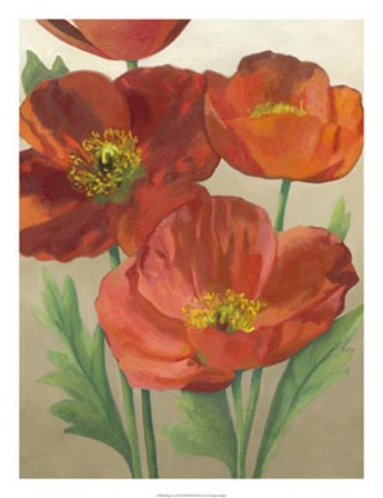 Poppy Love II by Megan Meagher art print