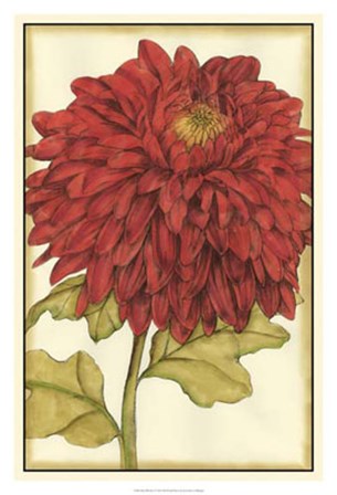 Ruby Blooms I by Jennifer Goldberger art print