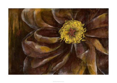 Floral Illusion II by Jennifer Goldberger art print