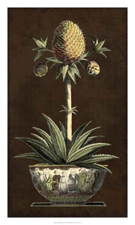 Potted Pineapple I by Vision Studio art print