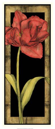 Floral Inset III by Jennifer Goldberger art print