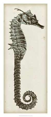 Vintage Seahorse II by Vision Studio art print