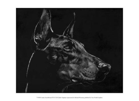 Canine Scratchboard XVI by Julie Chapman art print