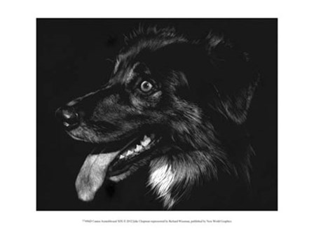 Canine Scratchboard XIV - black by Julie Chapman art print
