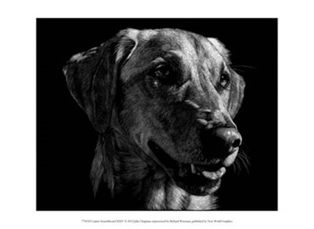 Canine Scratchboard XXIV by Julie Chapman art print