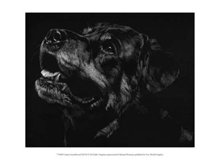 Canine Scratchboard XXVII by Julie Chapman art print