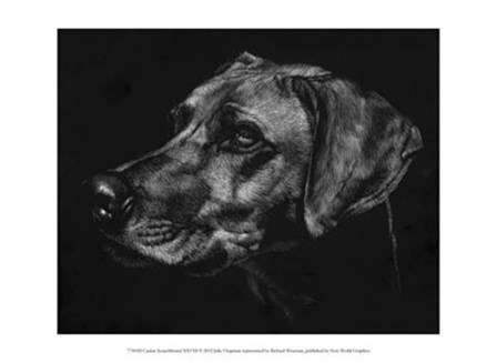 Canine Scratchboard XXVIII by Julie Chapman art print