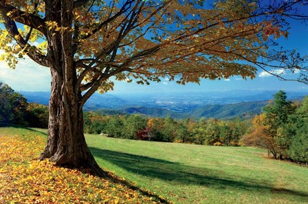 Blue Ridge Beauty by Mike Jones art print