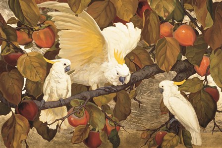 Persimmons &amp; Cockatoos by Jessie Arms Botke art print