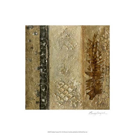 Earthen Textures VII by Beverly Crawford art print