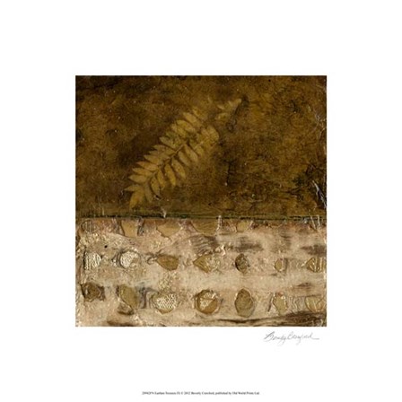 Earthen Textures IX by Beverly Crawford art print