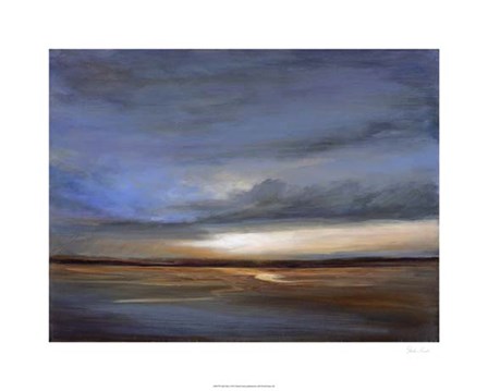 Salt Flats by Sheila Finch art print