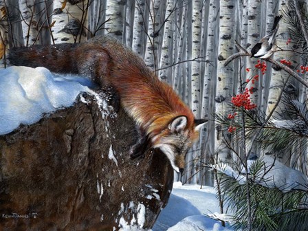 Fox in Winter by Kevin Daniel art print