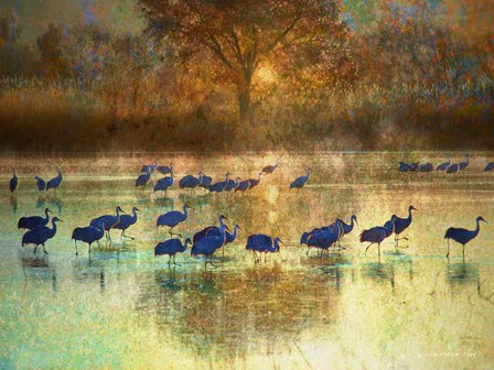 Cranes in Mist II by Chris Vest art print