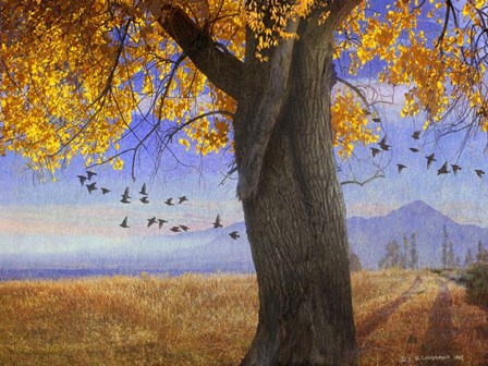 Yellow Cottonwood by Chris Vest art print