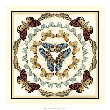 Butterfly Collector IV by Chariklia Zarris art print