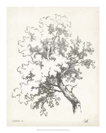 Oak Tree Study art print