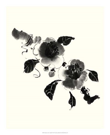Studies in Ink - Camellia by Nan Rae art print