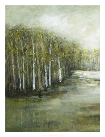 Tranquil Waters I by Beverly Crawford art print