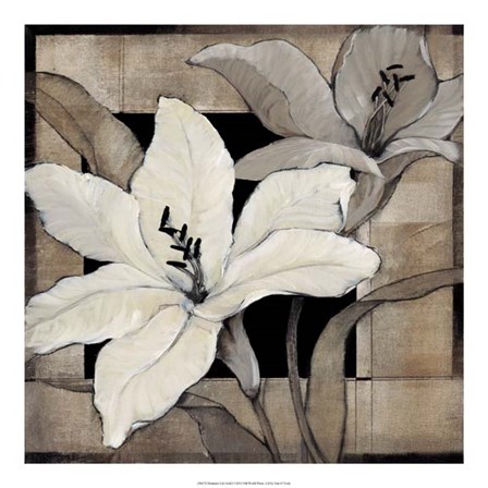 Dramatic Lily Grid I by Timothy O&#39;Toole art print