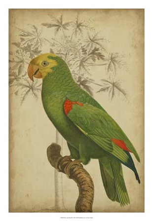 Parrot and Palm III by Vision Studio art print