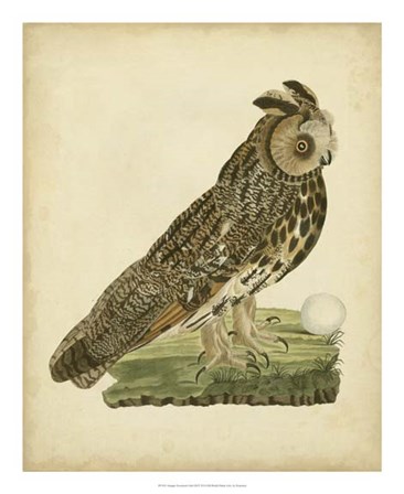 Antique Nozeman Owl III by Nozeman art print