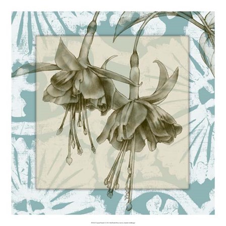 Coastal Floral I by Jennifer Goldberger art print