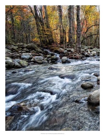 Porter&#39;s Creek I by Danny Head art print