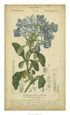 Floral Botanica II by Pierre Jean Francois Turpin art print