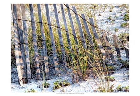 Sea Oats I by Danny Head art print