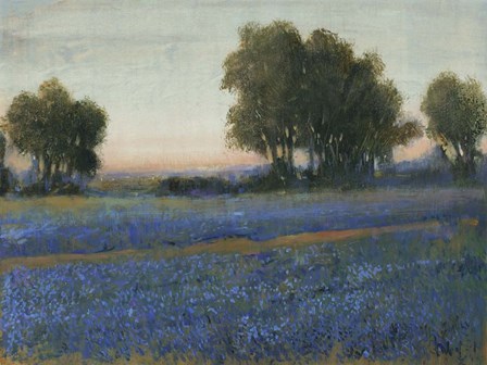 Blue Bonnet Field II by Timothy O&#39;Toole art print