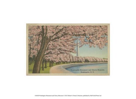 Wash. Monument &amp; Cherry Blossoms art print