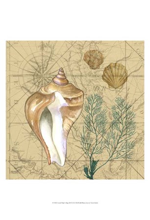 Coastal Map Collage III by Vision Studio art print
