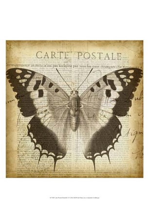 Carte Postale Butterfly II by Jennifer Goldberger art print