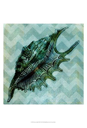 Chevron Shell VII by Vision Studio art print