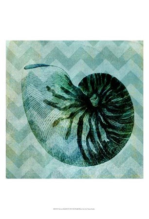 Chevron Shell IX by Vision Studio art print