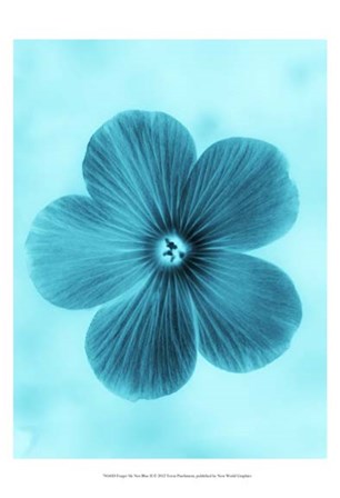 Forget Me Not Blue II by Teton Parchment art print