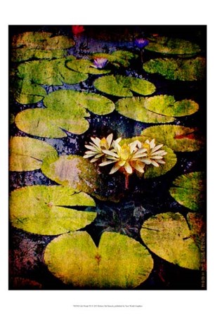 Lily Ponds IX by Robert McClintock art print