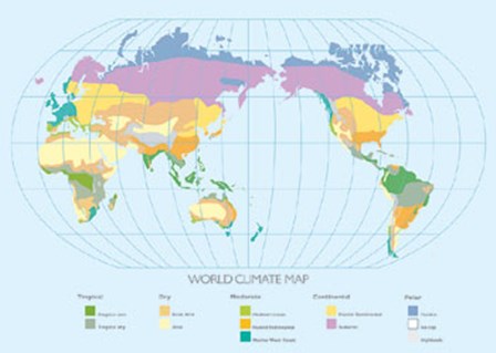 World Climate Map by Max Carter art print
