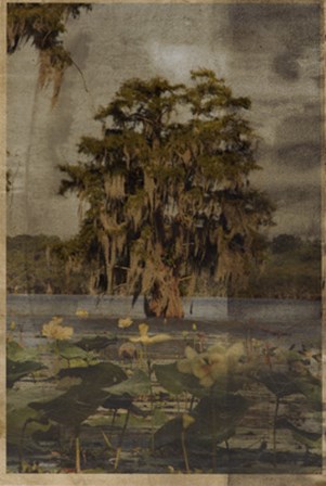 Low Country Trees III by Sisa Jasper art print
