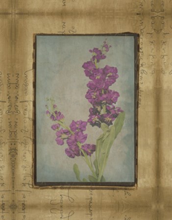 Photographic Floral Collage III by Ethan Harper art print