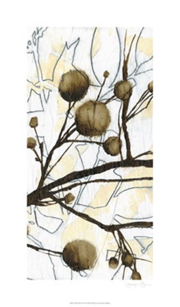 Willow Blooms II by Jennifer Goldberger art print