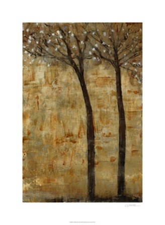 In Bloom II by Timothy O&#39;Toole art print