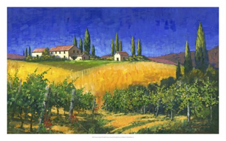Tuscan Evening by Michael Swanson art print